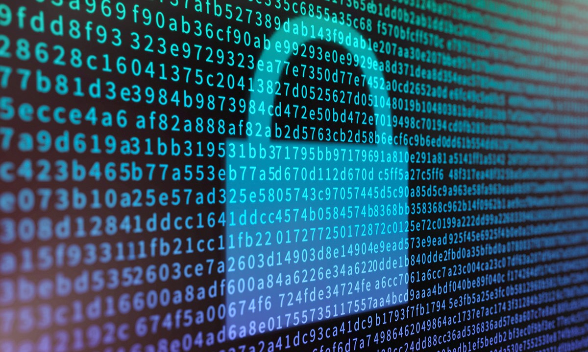 Cryptocurrency Scam Recovery Experts: Insights from Experts