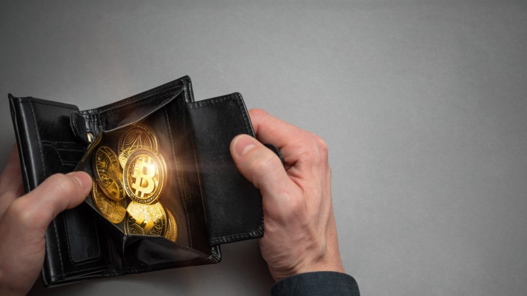 Bitcoin Wallet Recovery Services