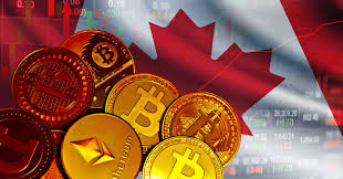Cryptocurrency Scam Recovery Company in Canada No Upfront Fees