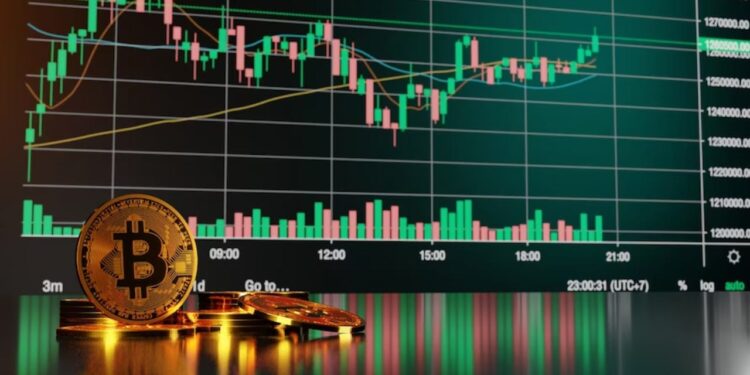 Biitland Crypto Trading Strategies​
