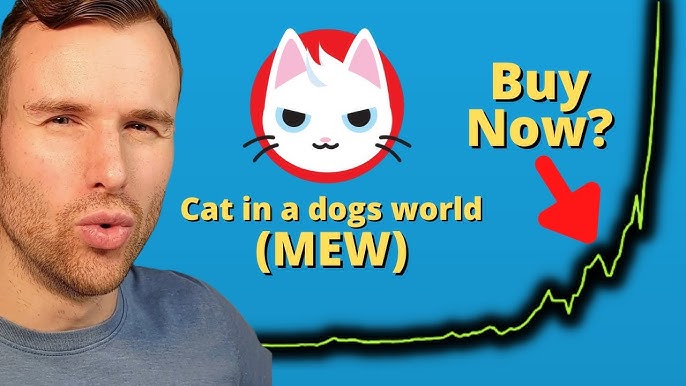 Mew Solana Coin Price 6 MEW coin Solana