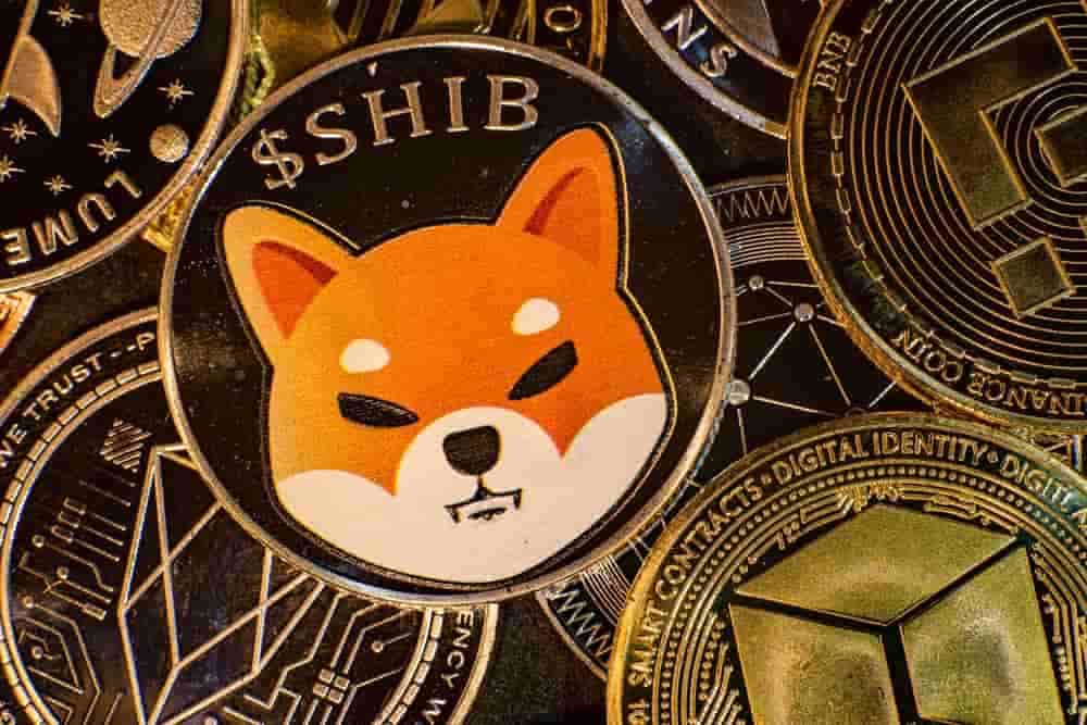 Shiba 2.0 12 Shiba Inu Coin Recovery Services