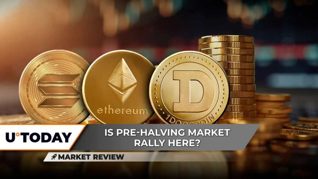 Dogeback 2 DogeBack Market Trends