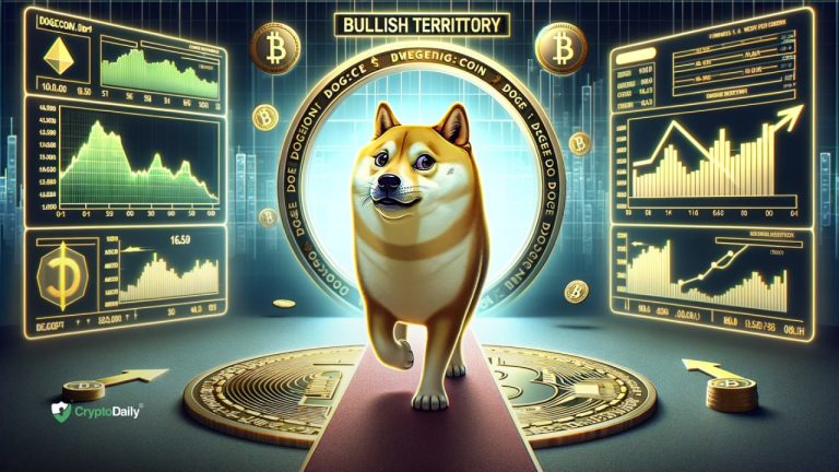 dogeback
