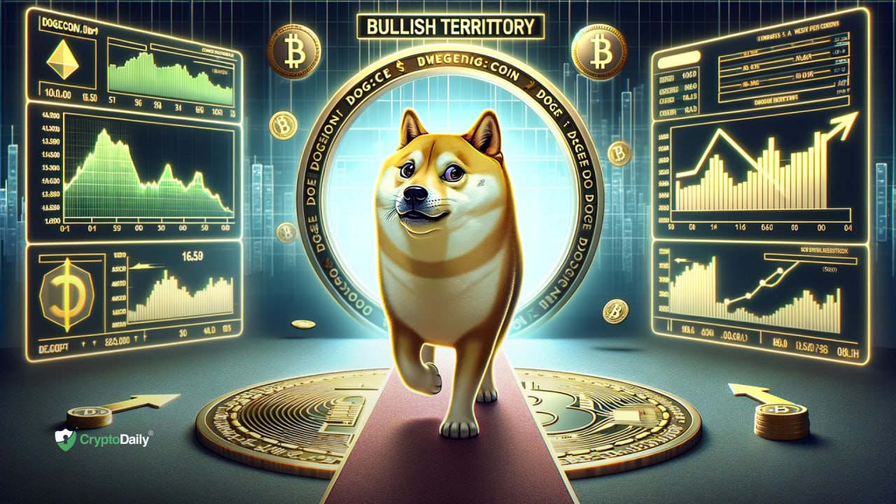 dogeback