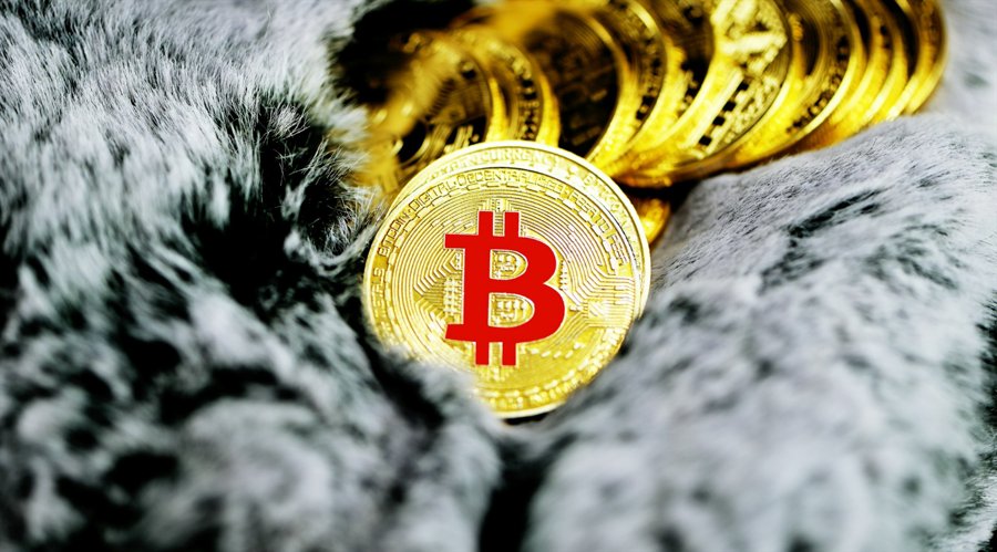 Best Cryptocurrency Recovery Service No Upfront Fees 4 Best Cryptocurrency Recovery Service No Upfront Fees in USA