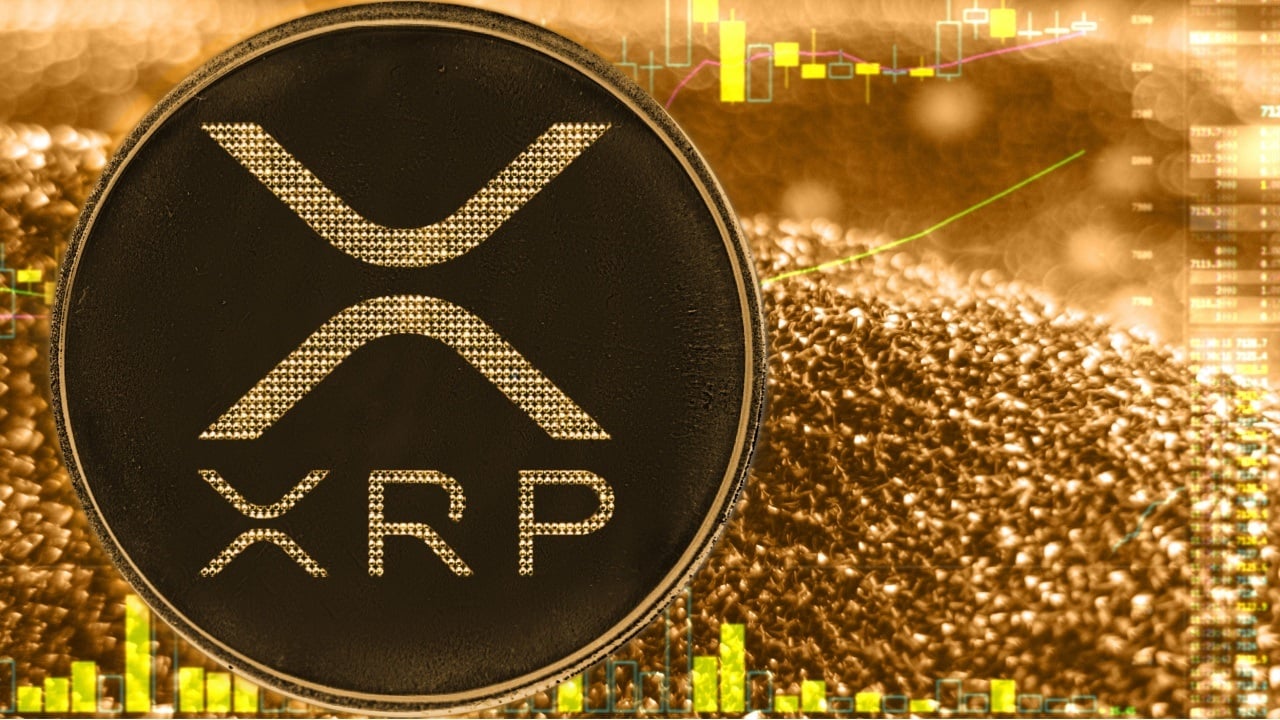 Professional XRP Expert Recovery Services
