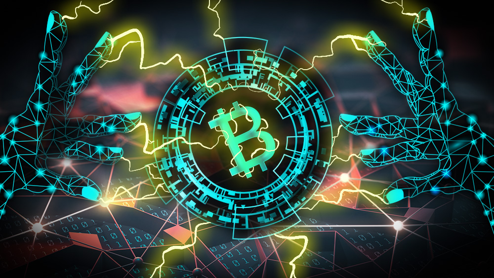 Pro Bono Crypto Recovery Expert 2 Pro Bono Crypto Recovery Expert